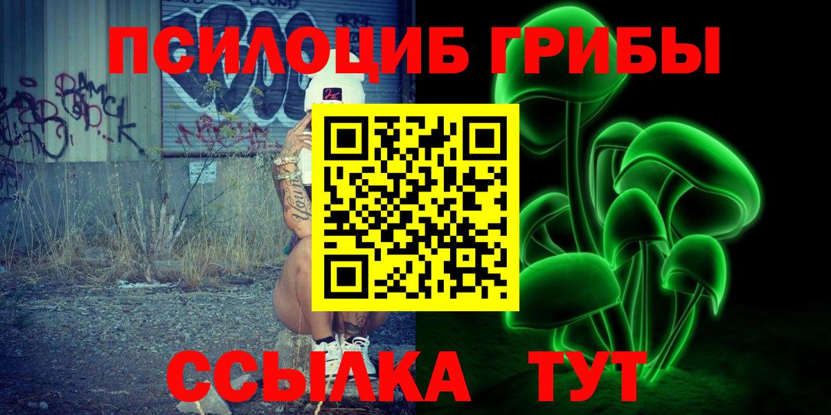 Псилоцибиновые грибы мицелий Зима