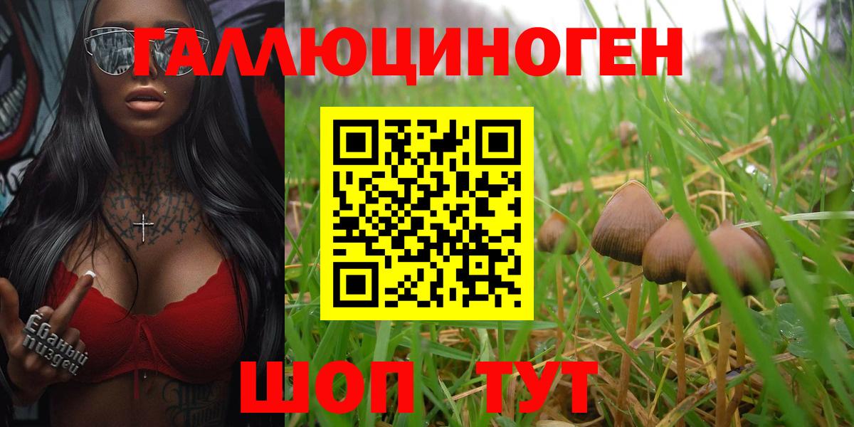 Зима  Галлюциногенные грибы мицелий  Вход с VPN  Галлюциногенные грибы ЛСД 