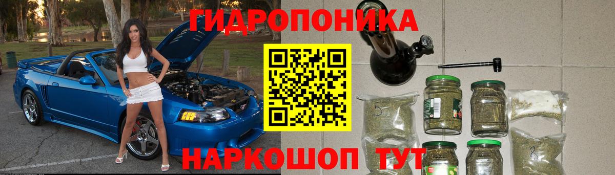 Каннабис семена Зима